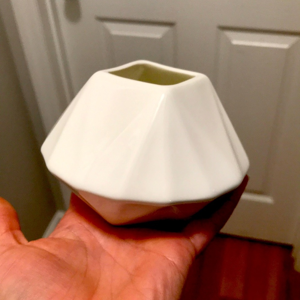 West Elm. Bud vase